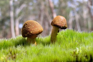 世界游艇青年赛赛事志愿者荣誉体系与企业合作启动，游艇展览